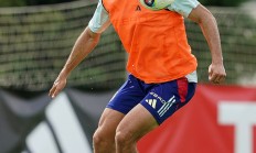 半岛体育下载-西班牙队员因伤离场，比赛状况受影响的简单介绍