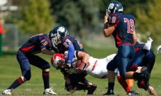 半岛体育网址-帕尔梅拉斯防线协作提升，力求限制攻击