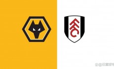 半岛体育登录入口-包含狼队主场告捷，保级形势渐显曙光的词条