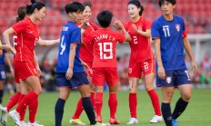 半岛体育亚洲官网-荷兰女足队员在比赛中破门得分