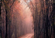 半岛体育网站-荷兰晋级欧洲预选赛资格，赛前气势如虹，荷兰欧预赛阵容