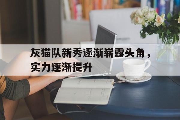 灰猫队新秀逐渐崭露头角，实力逐渐提升的简单介绍